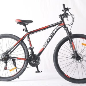 Bicystar explorer aro 29