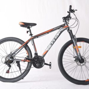 Bicystar explorer aro 29